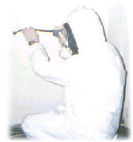Borescope inspection for hidden mold within wall