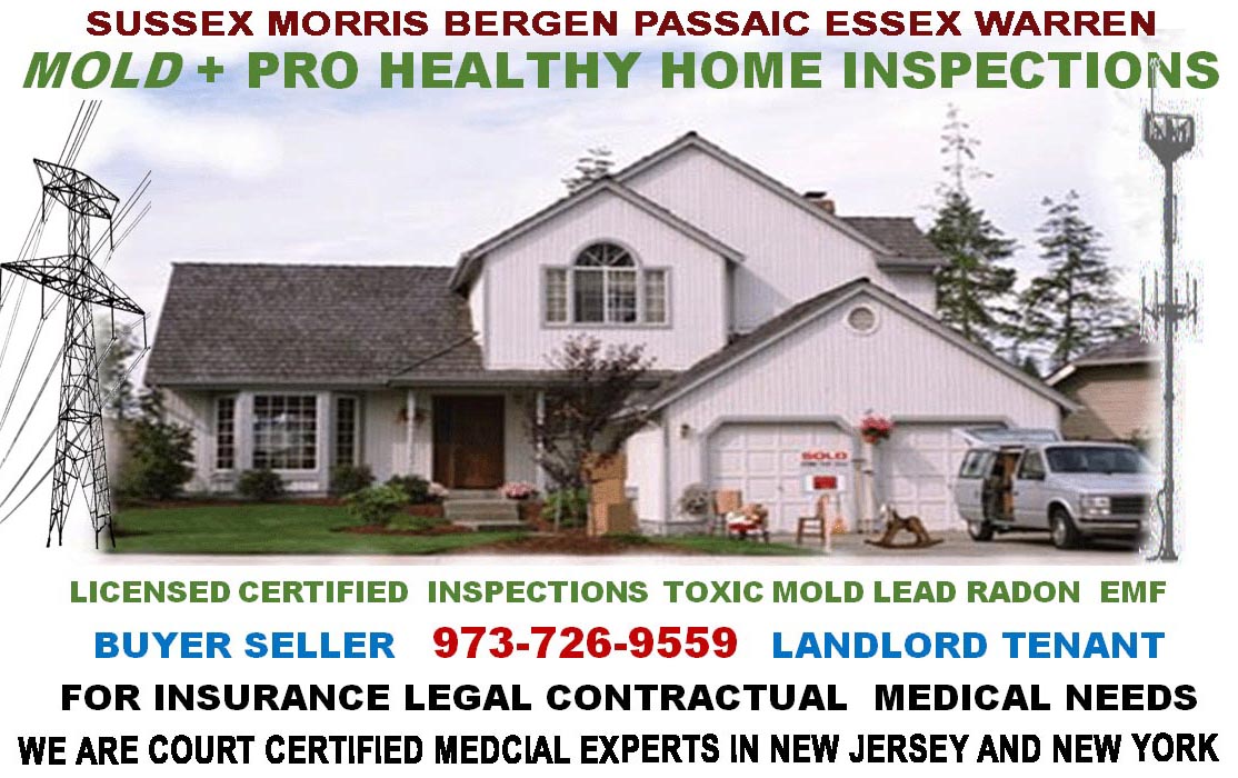 Nj Toxic Mold And Emf Inspections Water Damage Exposure Legal Certified Hygienst Toxic Mold Attic Bat Removal And Water Damage Remediation Cost