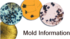 mold 
      
 
 sample testing
