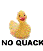 no quacks